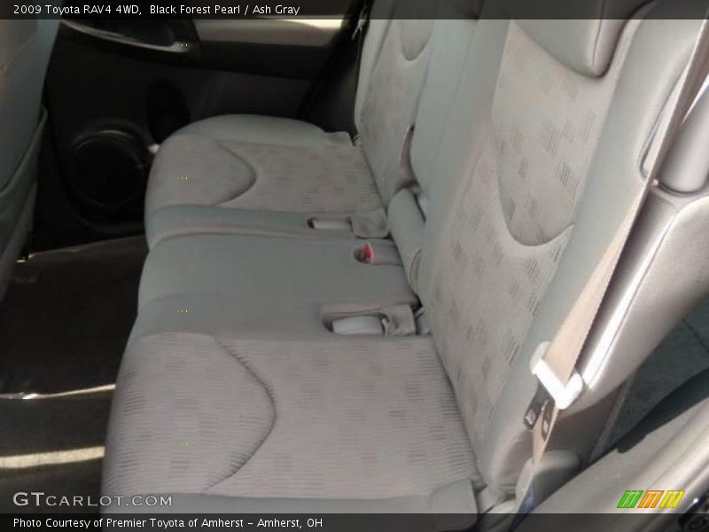 Black Forest Pearl / Ash Gray 2009 Toyota RAV4 4WD