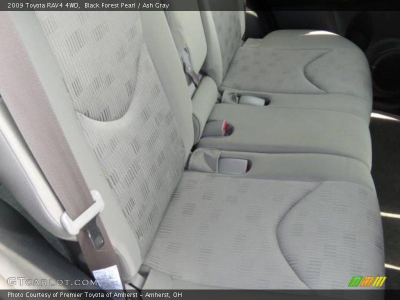 Black Forest Pearl / Ash Gray 2009 Toyota RAV4 4WD