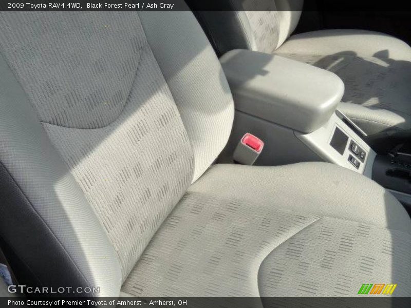 Black Forest Pearl / Ash Gray 2009 Toyota RAV4 4WD