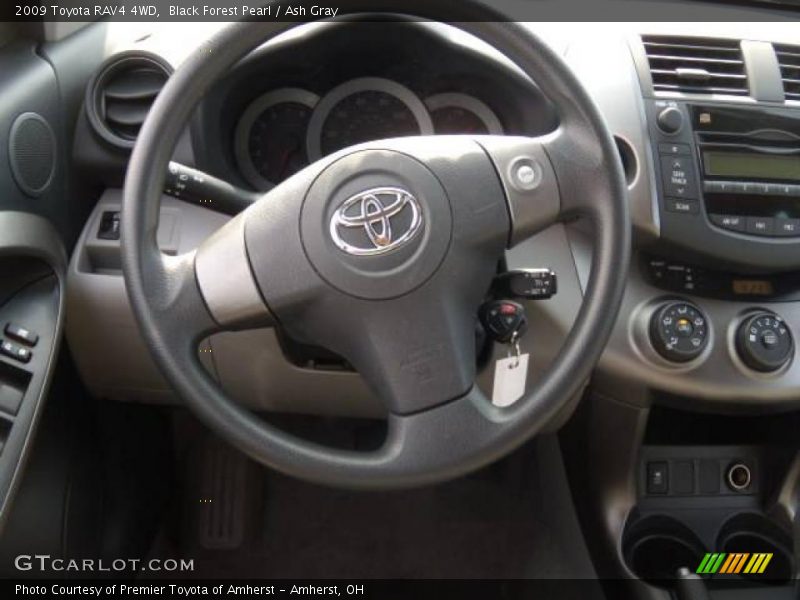 Black Forest Pearl / Ash Gray 2009 Toyota RAV4 4WD