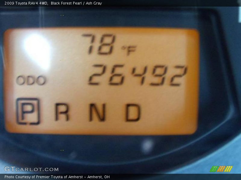 Black Forest Pearl / Ash Gray 2009 Toyota RAV4 4WD