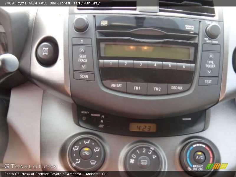 Black Forest Pearl / Ash Gray 2009 Toyota RAV4 4WD