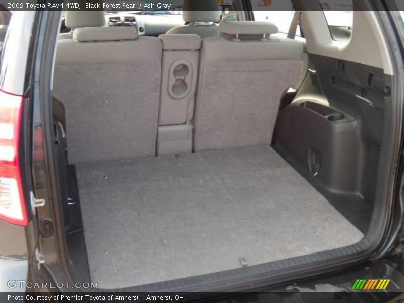 Black Forest Pearl / Ash Gray 2009 Toyota RAV4 4WD