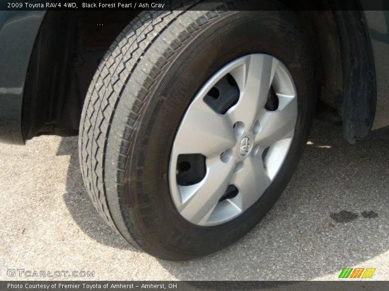 Black Forest Pearl / Ash Gray 2009 Toyota RAV4 4WD