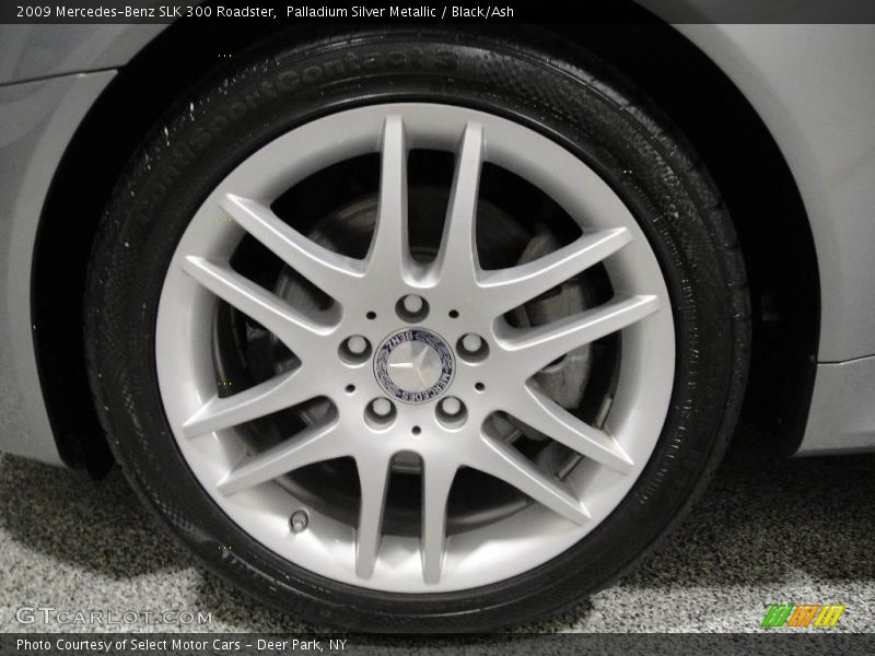 Palladium Silver Metallic / Black/Ash 2009 Mercedes-Benz SLK 300 Roadster