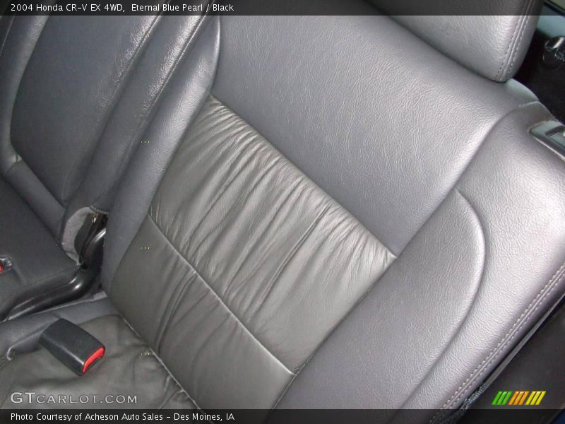 Eternal Blue Pearl / Black 2004 Honda CR-V EX 4WD