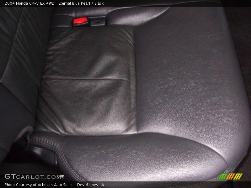 Eternal Blue Pearl / Black 2004 Honda CR-V EX 4WD