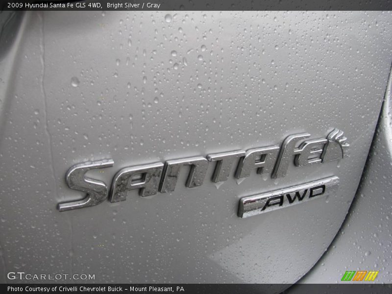 Bright Silver / Gray 2009 Hyundai Santa Fe GLS 4WD