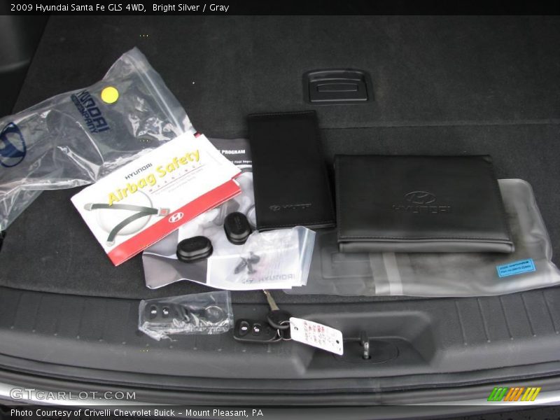 Bright Silver / Gray 2009 Hyundai Santa Fe GLS 4WD