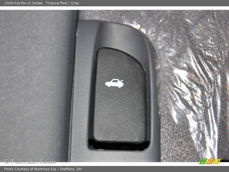 Tropical Red / Gray 2009 Kia Rio LX Sedan