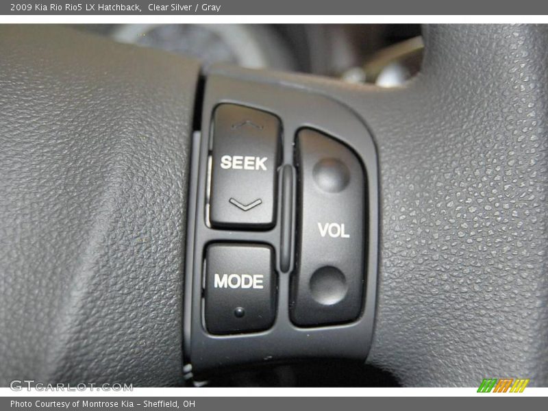 Clear Silver / Gray 2009 Kia Rio Rio5 LX Hatchback