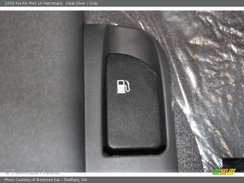 Clear Silver / Gray 2009 Kia Rio Rio5 LX Hatchback