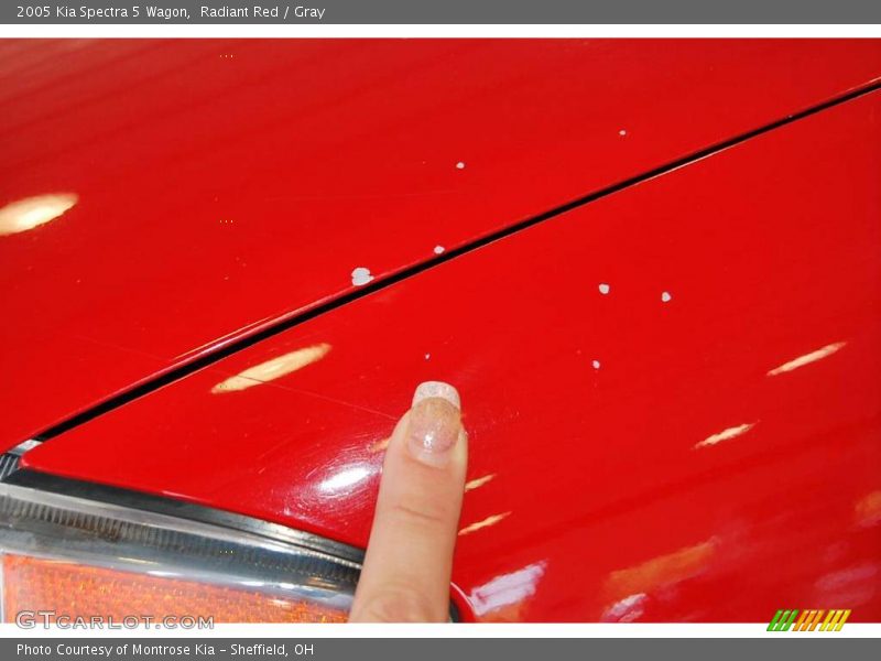Radiant Red / Gray 2005 Kia Spectra 5 Wagon