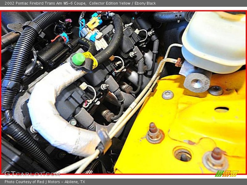 Collector Edition Yellow / Ebony Black 2002 Pontiac Firebird Trans Am WS-6 Coupe