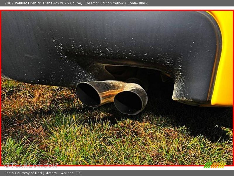 Collector Edition Yellow / Ebony Black 2002 Pontiac Firebird Trans Am WS-6 Coupe