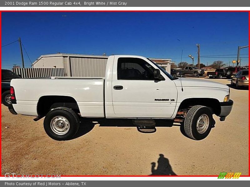 Bright White / Mist Gray 2001 Dodge Ram 1500 Regular Cab 4x4