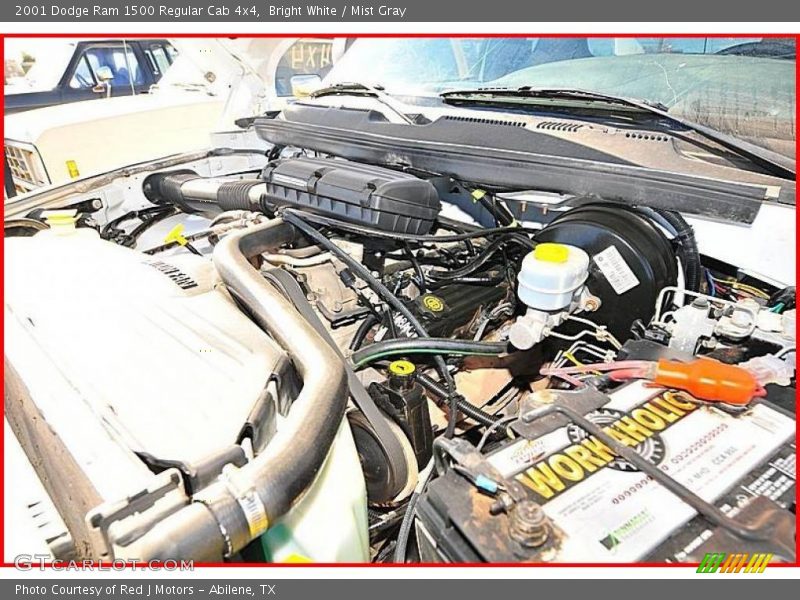Bright White / Mist Gray 2001 Dodge Ram 1500 Regular Cab 4x4