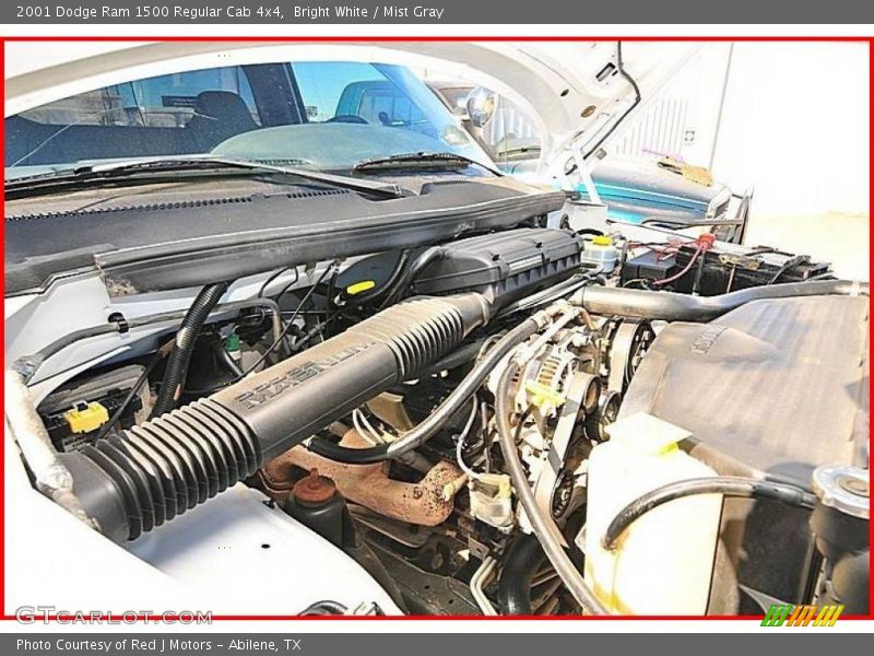 Bright White / Mist Gray 2001 Dodge Ram 1500 Regular Cab 4x4