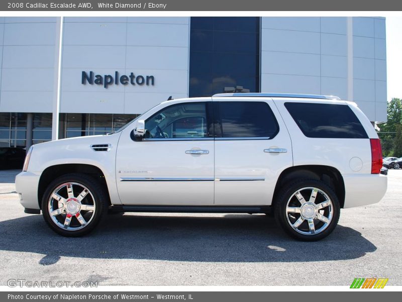 White Diamond / Ebony 2008 Cadillac Escalade AWD