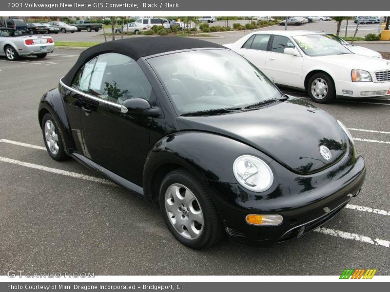 Black / Black 2003 Volkswagen New Beetle GLS Convertible