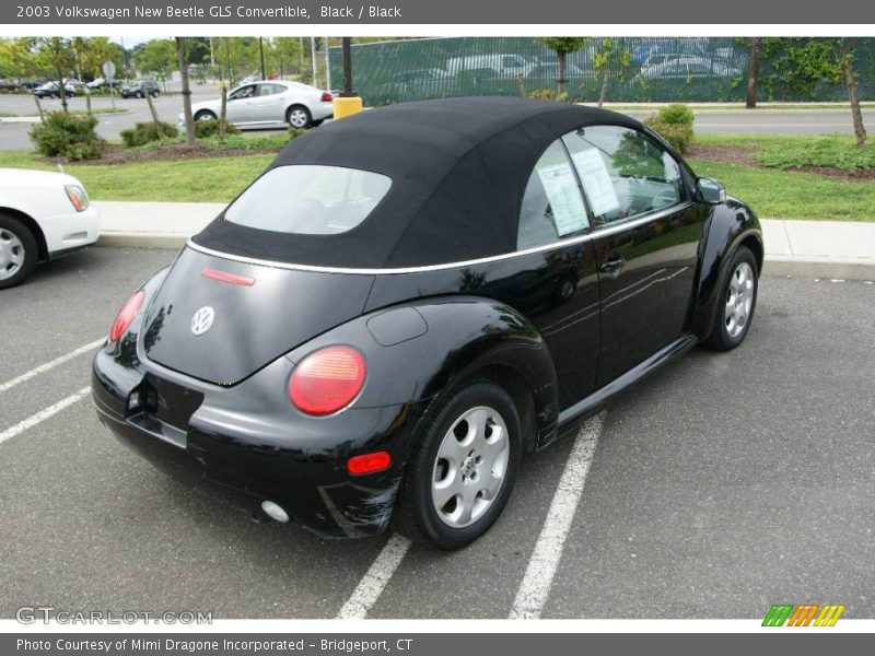 Black / Black 2003 Volkswagen New Beetle GLS Convertible