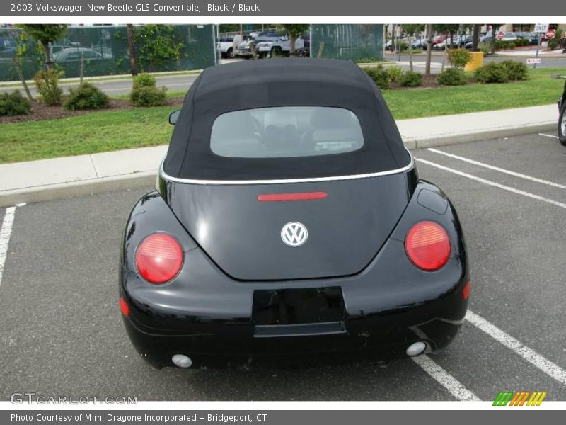 Black / Black 2003 Volkswagen New Beetle GLS Convertible
