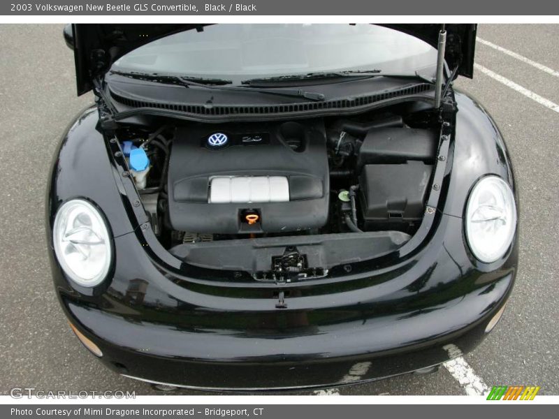 Black / Black 2003 Volkswagen New Beetle GLS Convertible