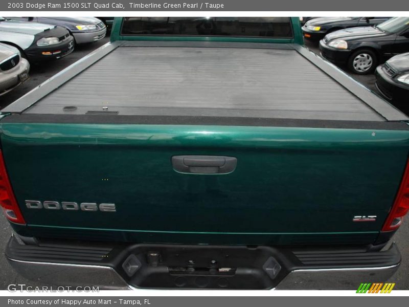 Timberline Green Pearl / Taupe 2003 Dodge Ram 1500 SLT Quad Cab