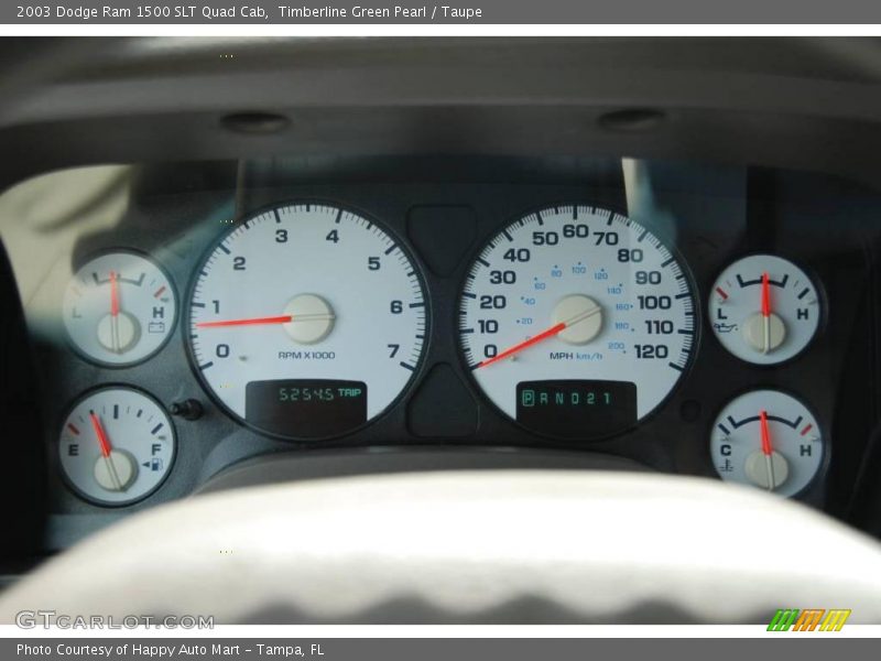 Timberline Green Pearl / Taupe 2003 Dodge Ram 1500 SLT Quad Cab