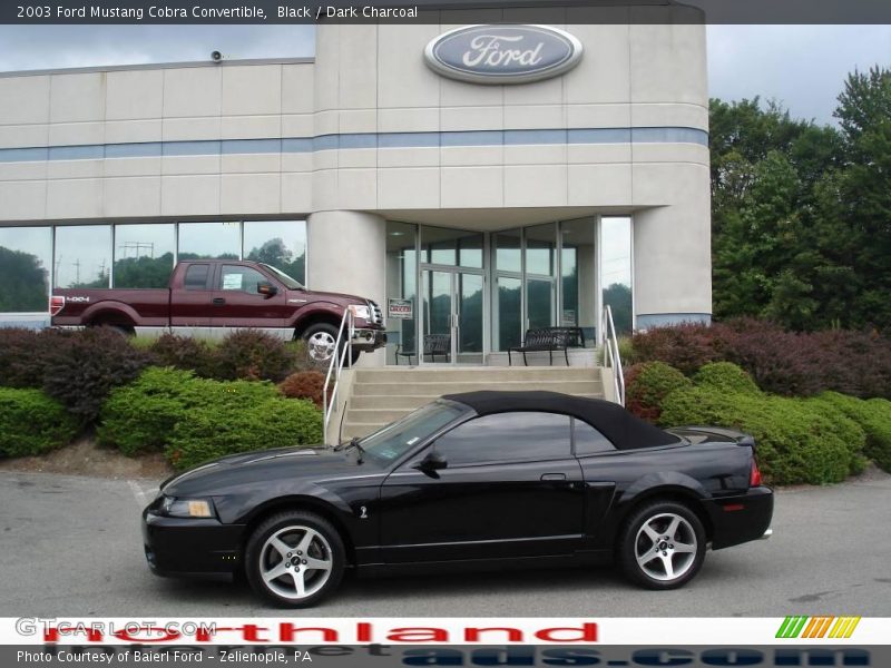 Black / Dark Charcoal 2003 Ford Mustang Cobra Convertible