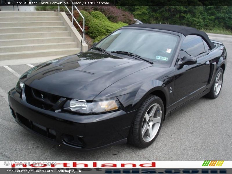 Black / Dark Charcoal 2003 Ford Mustang Cobra Convertible