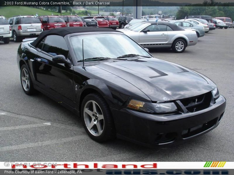 Black / Dark Charcoal 2003 Ford Mustang Cobra Convertible