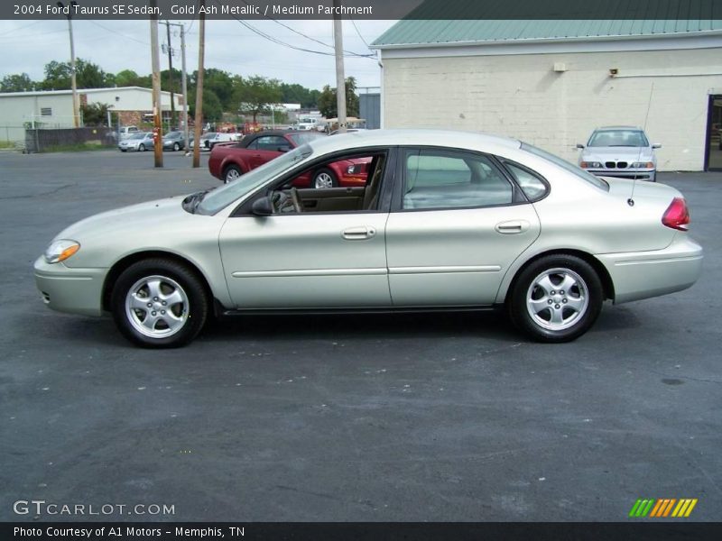 Gold Ash Metallic / Medium Parchment 2004 Ford Taurus SE Sedan