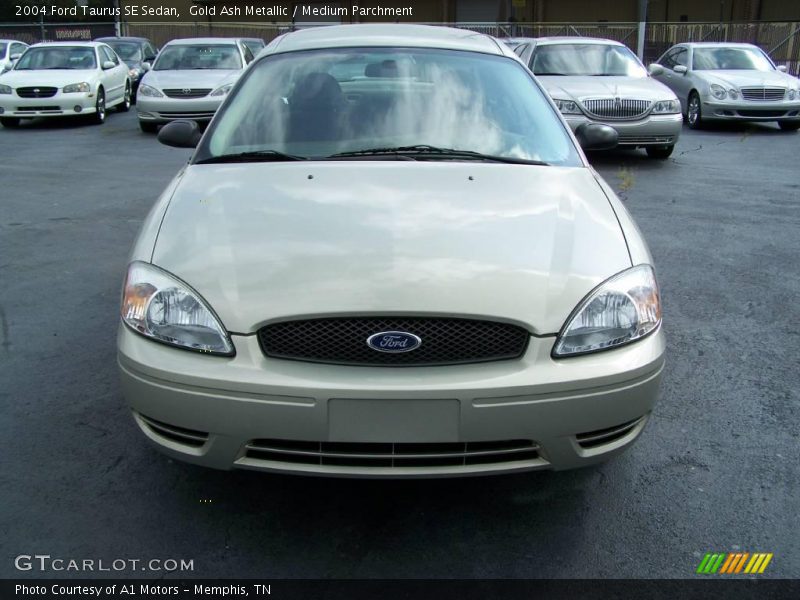 Gold Ash Metallic / Medium Parchment 2004 Ford Taurus SE Sedan