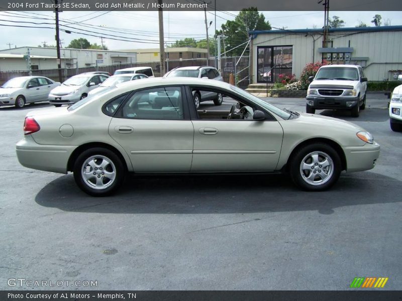 Gold Ash Metallic / Medium Parchment 2004 Ford Taurus SE Sedan