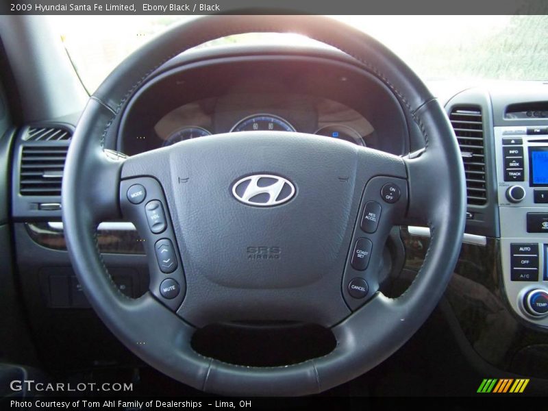 Ebony Black / Black 2009 Hyundai Santa Fe Limited