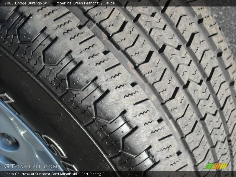 Timberline Green Pearlcoat / Taupe 2003 Dodge Durango SXT