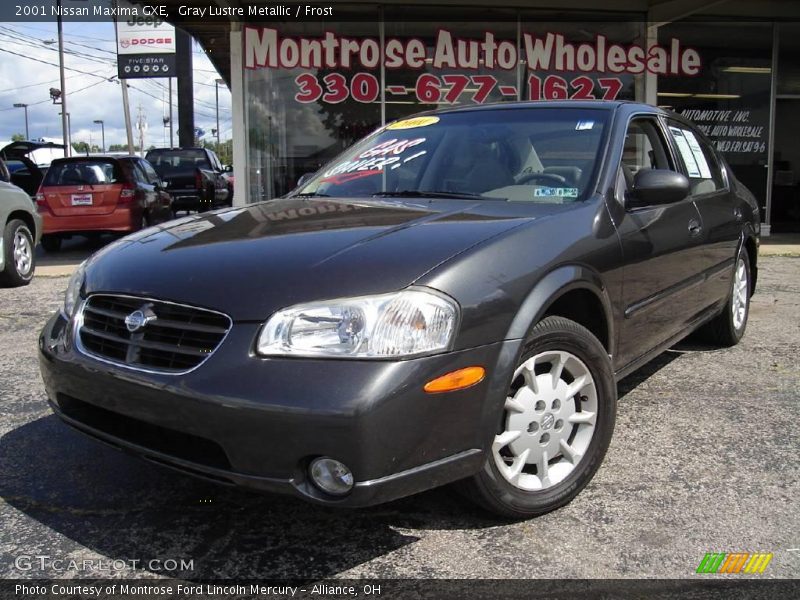 Gray Lustre Metallic / Frost 2001 Nissan Maxima GXE