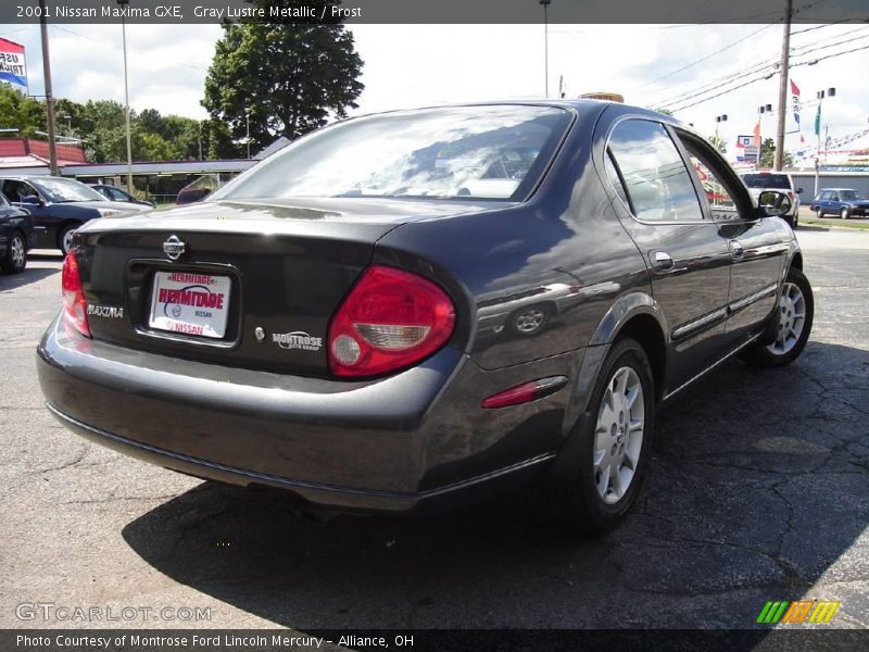 Gray Lustre Metallic / Frost 2001 Nissan Maxima GXE