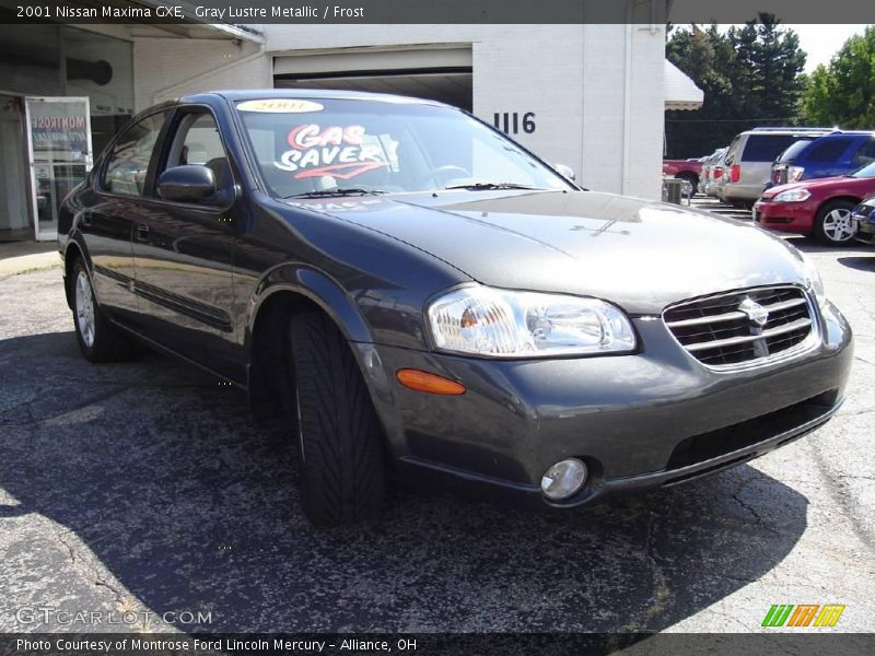 Gray Lustre Metallic / Frost 2001 Nissan Maxima GXE
