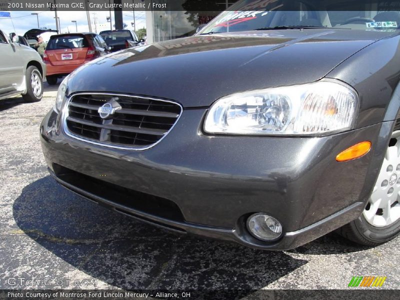 Gray Lustre Metallic / Frost 2001 Nissan Maxima GXE