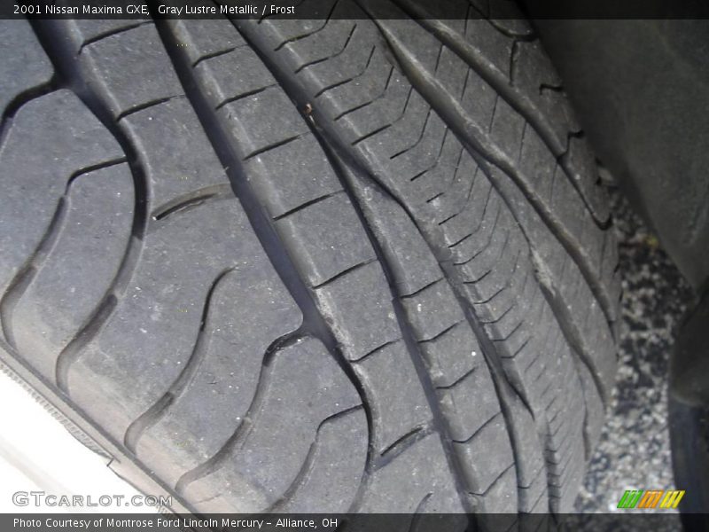 Gray Lustre Metallic / Frost 2001 Nissan Maxima GXE