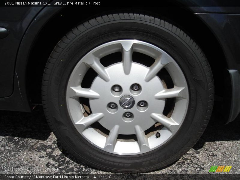 Gray Lustre Metallic / Frost 2001 Nissan Maxima GXE