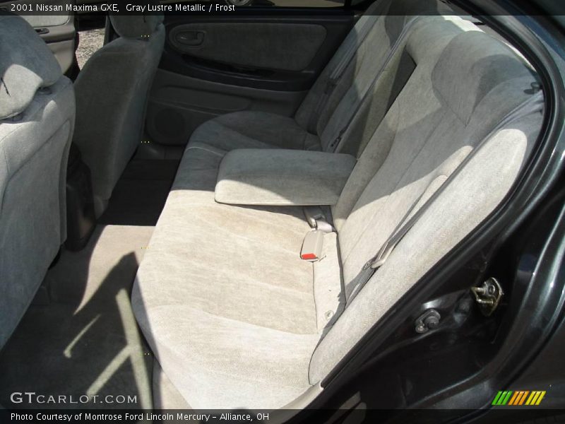Gray Lustre Metallic / Frost 2001 Nissan Maxima GXE
