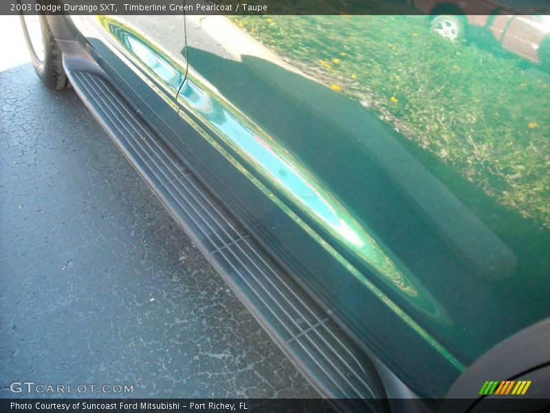 Timberline Green Pearlcoat / Taupe 2003 Dodge Durango SXT