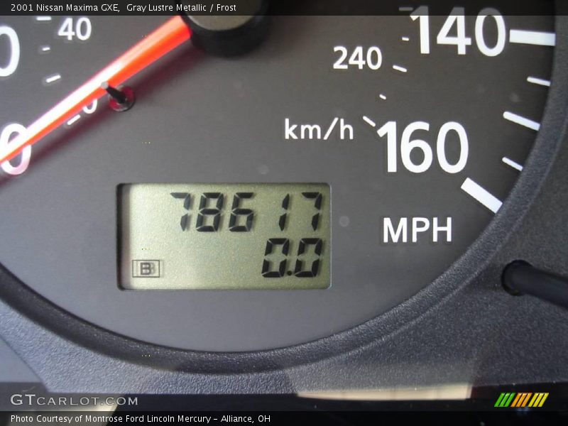 Gray Lustre Metallic / Frost 2001 Nissan Maxima GXE