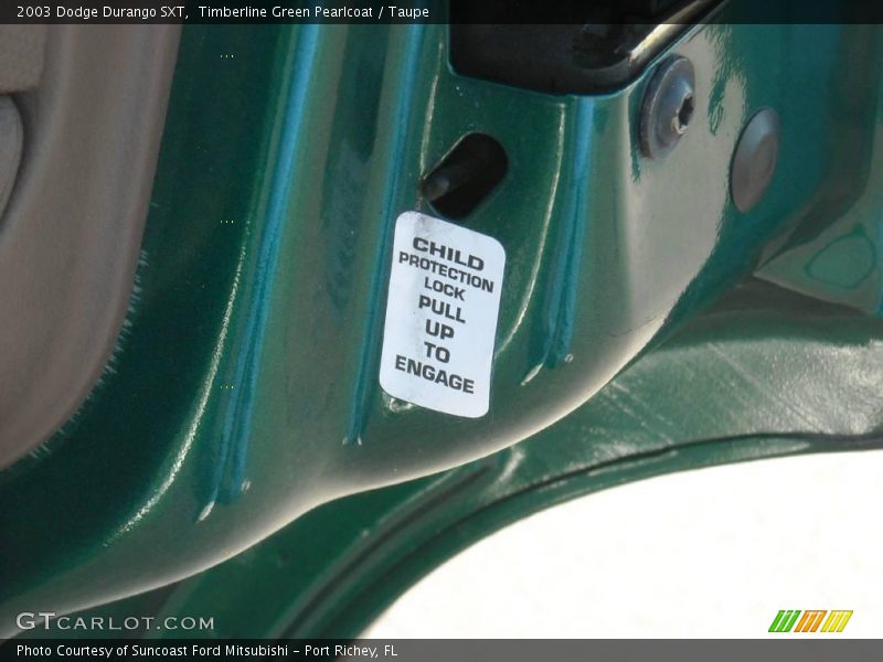 Timberline Green Pearlcoat / Taupe 2003 Dodge Durango SXT