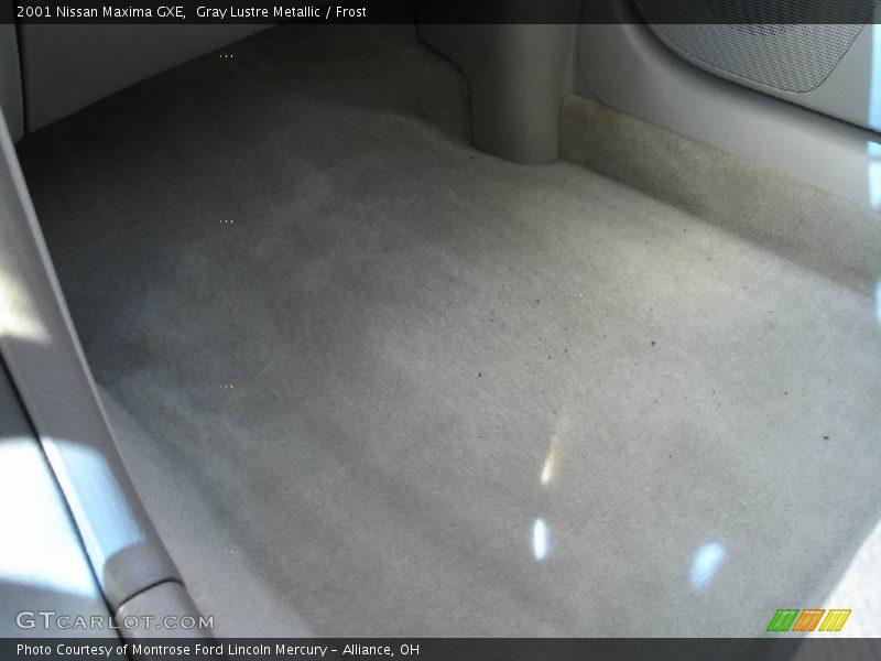 Gray Lustre Metallic / Frost 2001 Nissan Maxima GXE