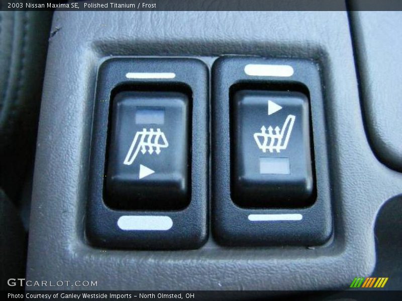 Polished Titanium / Frost 2003 Nissan Maxima SE