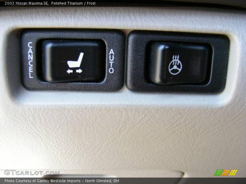 Polished Titanium / Frost 2003 Nissan Maxima SE